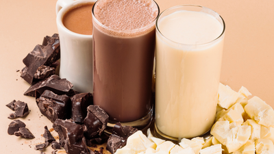 How to Increase Protein Intake