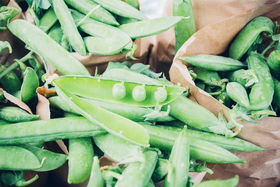 What are the Top Pea Protein Benefits?