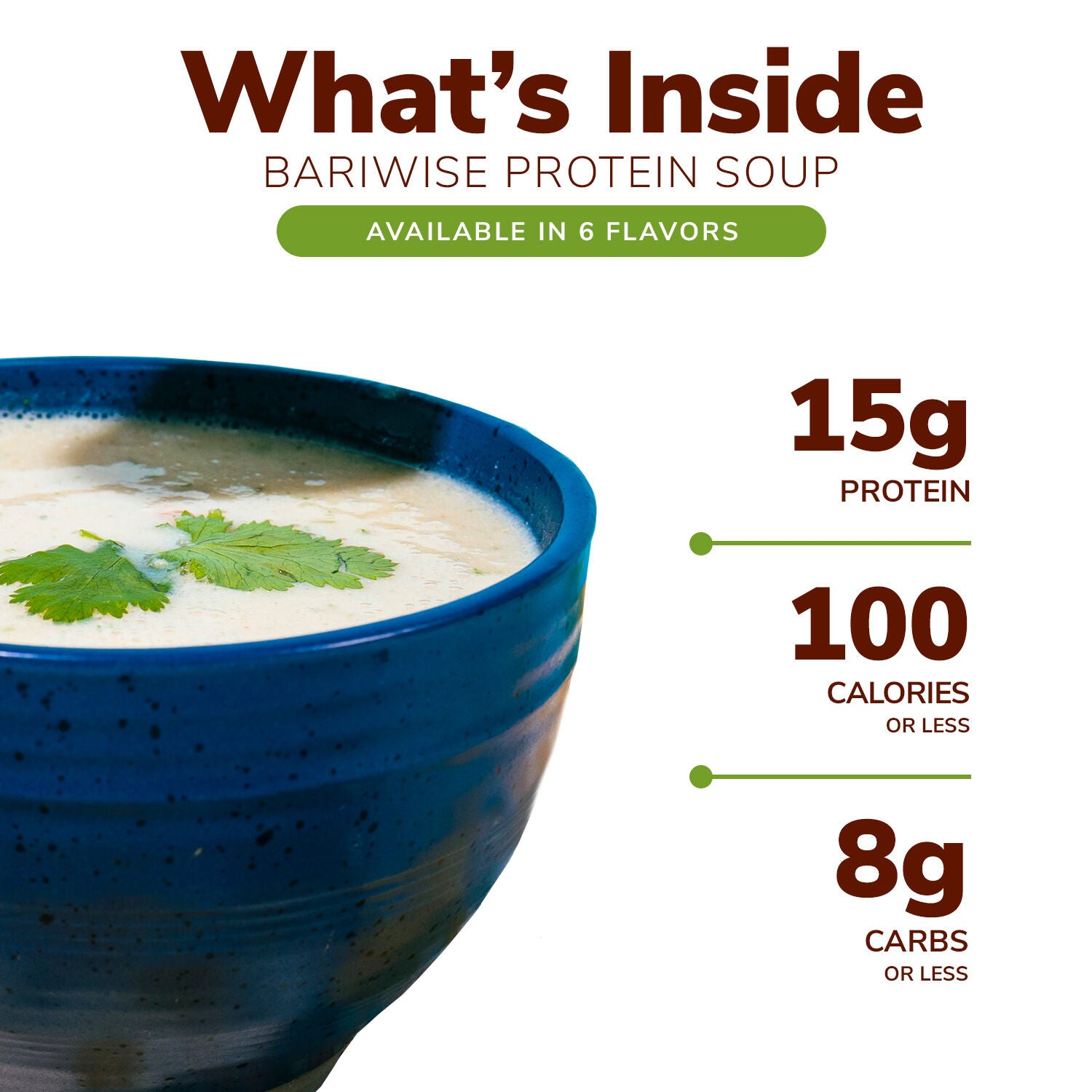 Protein Soup Mix (7ct)