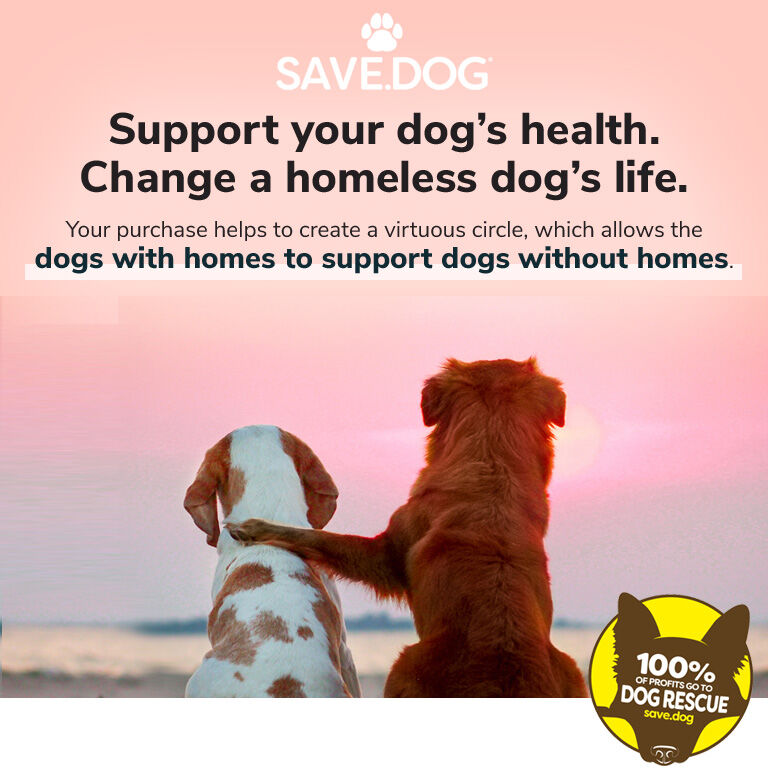 Support Your Dog's Health. Change a homeless dog's life.