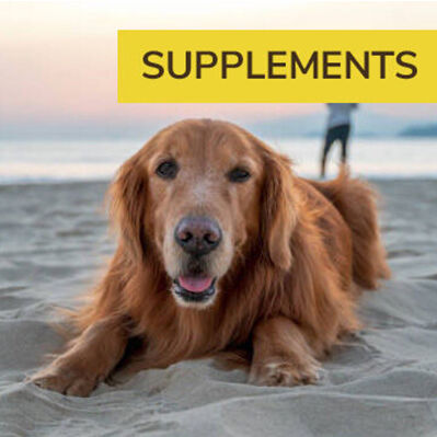 Dog Supplements