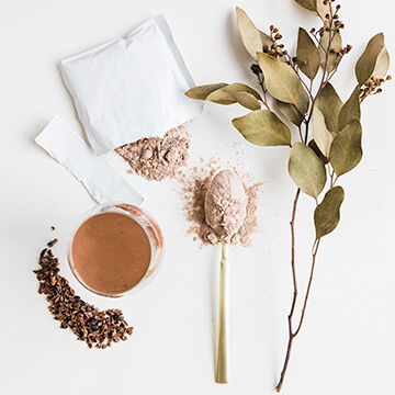 Plant based protein meal shakes for weight loss