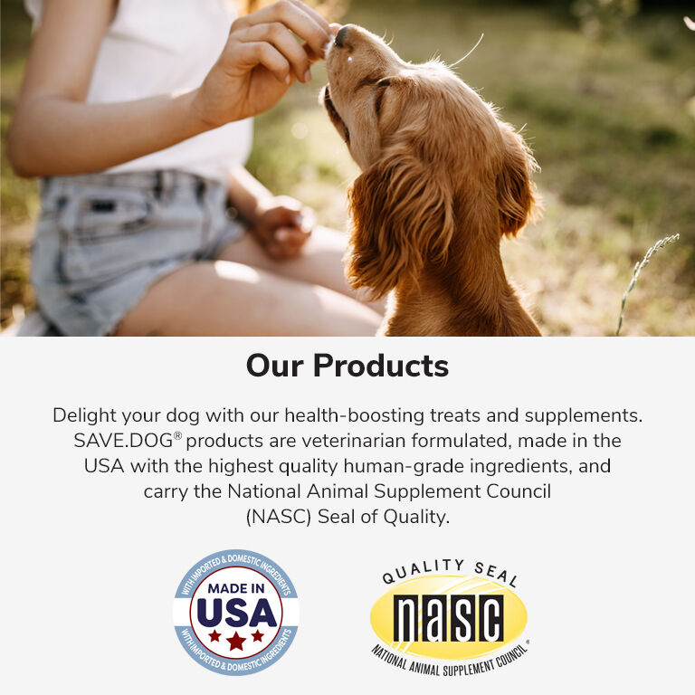 SAVE.DOG® Brand provides comfort & support to dogs with homes and