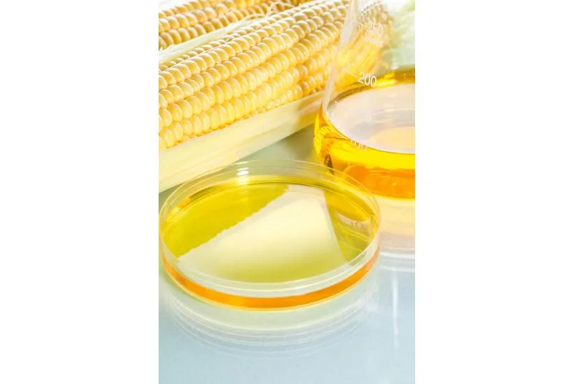 High Fructose Corn Syrup: A Danger Hiding In Sweet Sight
