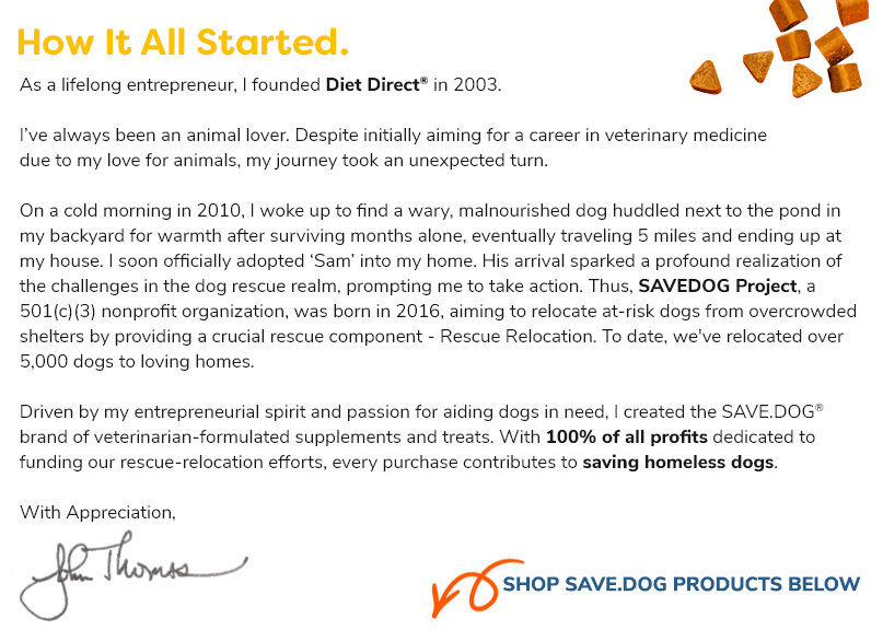SaveDog - How It All Started