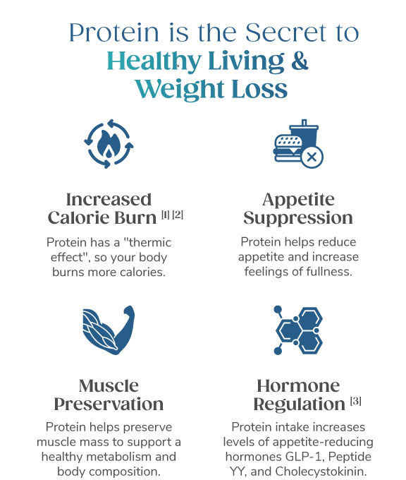 Protein is the Secret to Healthy Living & Weight Loss. Increased Calorie Burn. Appetite Suppression. Muscle Preservation. Hormone Regulation. 