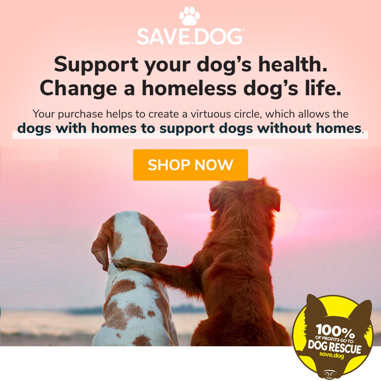 Support Your Dog's Health. Change a homeless dog's life.