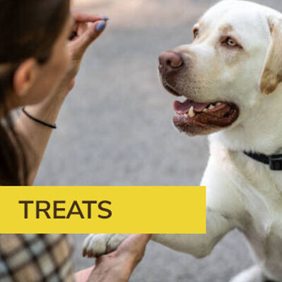 Dog Treats