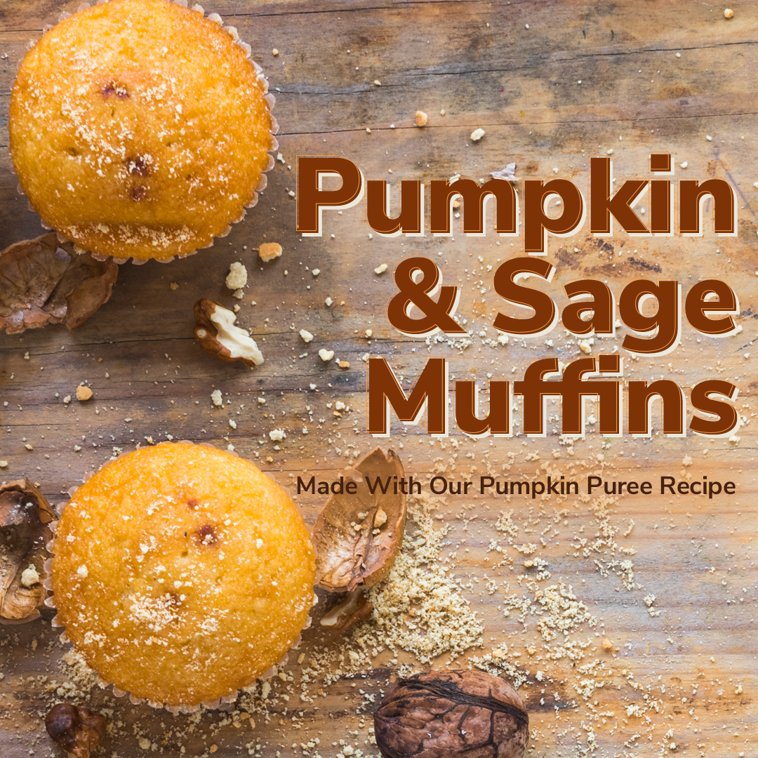 Pumpkin & Sage Muffins - Made With Our Pumpkin Recipe