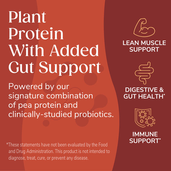 Pea Protein Chips (12ct) image number null