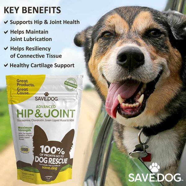 Advanced Hip & Joint Supplement for Dogs - Maximum Strength (60ct) image number null