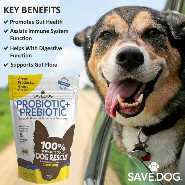 Probiotics + Prebiotics for Dogs (90ct) image number null