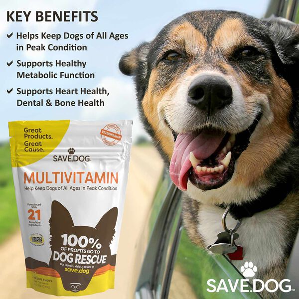 Daily Multivitamin for Dogs (60ct) image number null