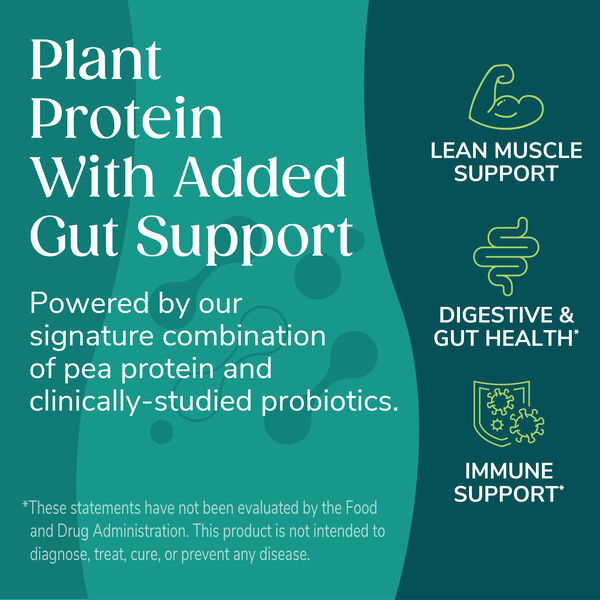 Pea Protein Chips (12ct) image number null