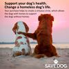 Daily Multivitamin for Dogs (60ct) image number null