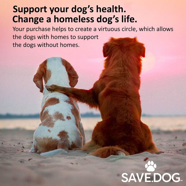Daily Multivitamin for Dogs (60ct) image number null