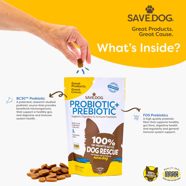 Probiotics + Prebiotics for Dogs (90ct) image number null