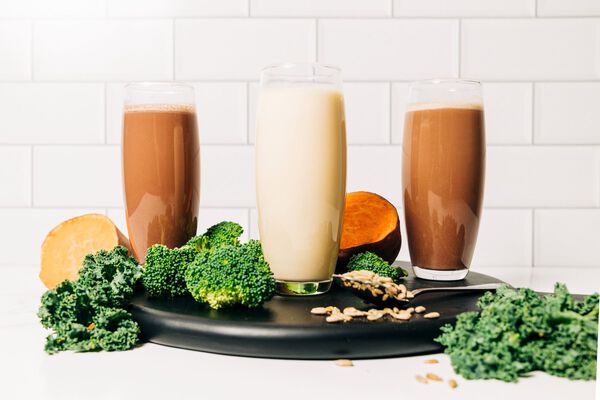 Advanced Plant Based Pea Protein Meal Replacement Shake (5ct) image number null